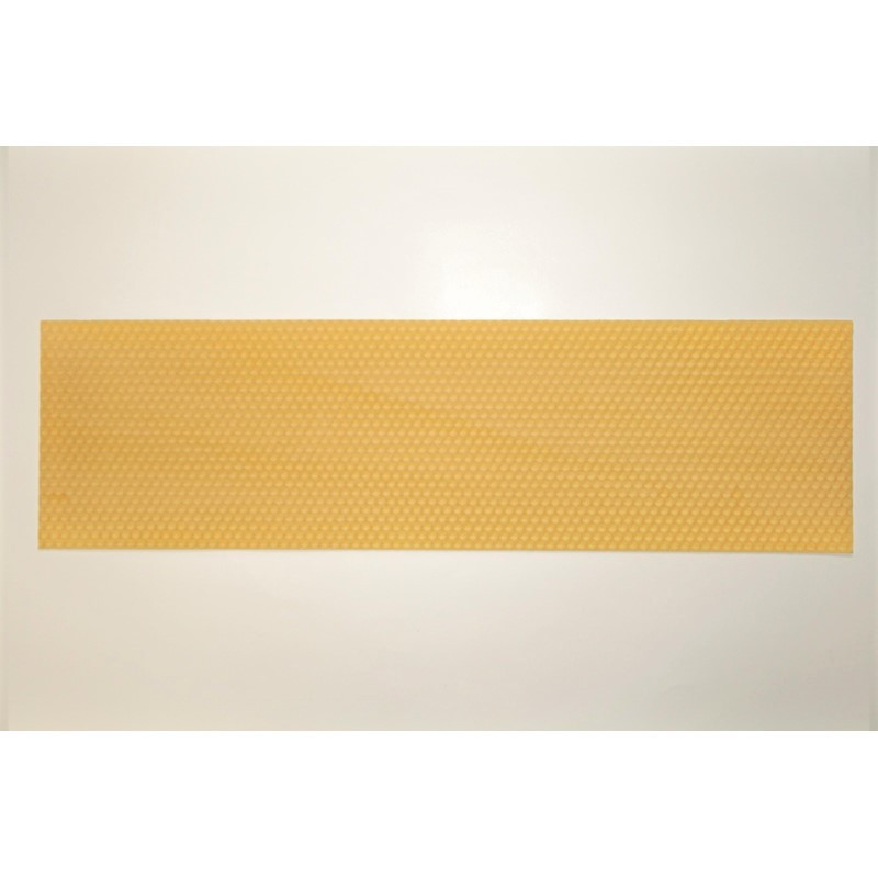 Langstroth Shallow Unwired Foundation