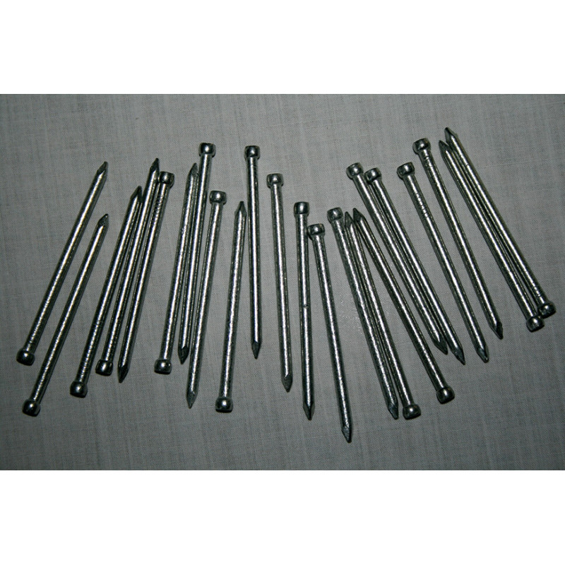 Galvanised 2" Nails